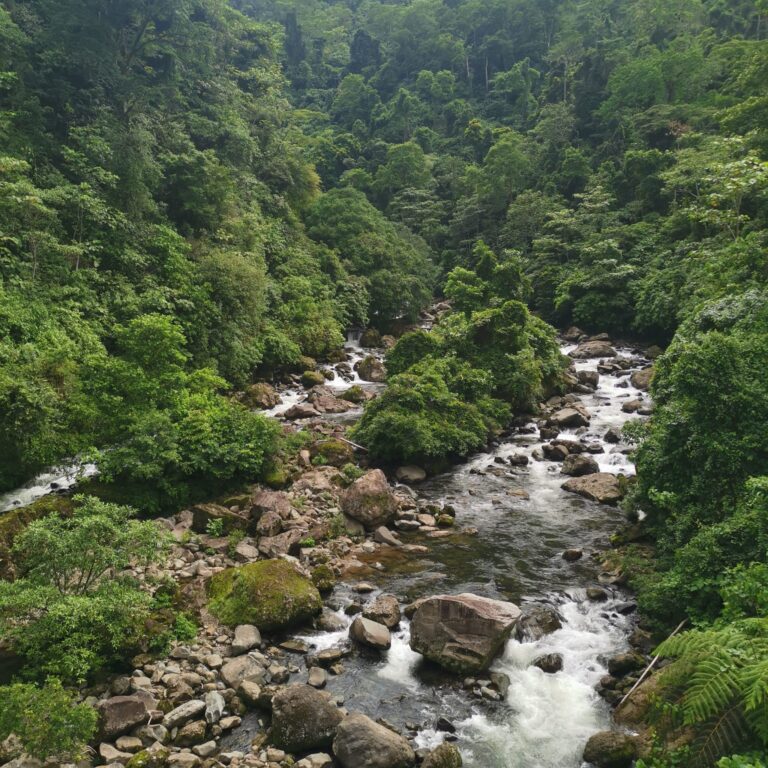 IMG 20241219 WA0403 768x768